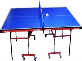 BIGPRINT SPORTS Fun Time Rollaway Indoor Table Tennis Table  (Blue)